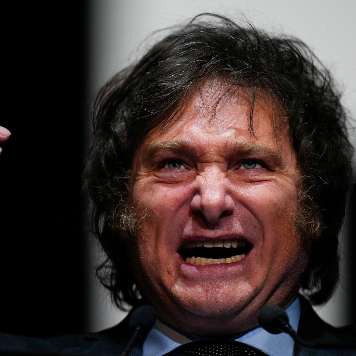 Der Mann mit der Kettensäge: Javier Milei auf einer Wahlkampfveranstaltung. - Foto: Natacha Pisarenko/AP