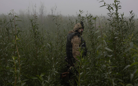 Ukrainische Marinesoldaten gehen durch Gelände an der Frontlinie in der Nähe des Flusses Dnepr. (Archivbild) - Foto: Alex Babenko/AP/dpa