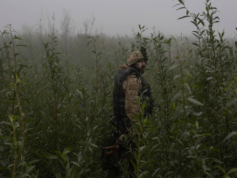 Ukrainische Marinesoldaten gehen durch Gelände an der Frontlinie in der Nähe des Flusses Dnepr. (Archivbild) - Foto: Alex Babenko/AP/dpa