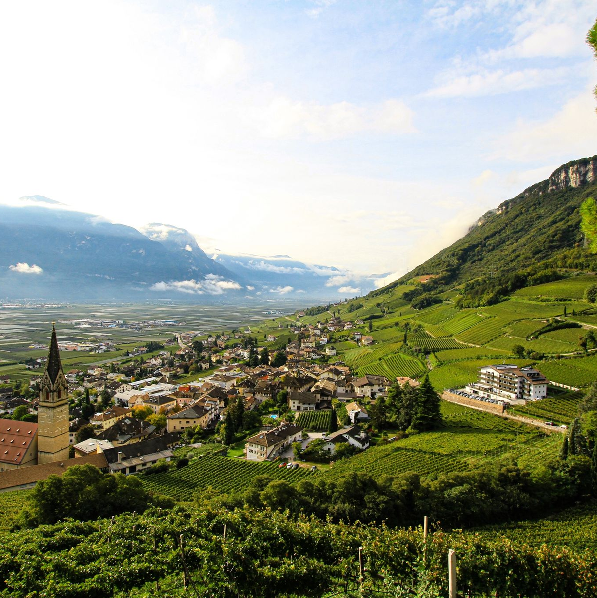 Ein Weingut mit Blick ins Etschtal. Die autonome Provinz Südtirol, wo Deutsch neben Italienisch normale Amtssprache ist, wählt ein neues Parlament. - Foto: Bernhard Krieger/dpa-tmn/dpa