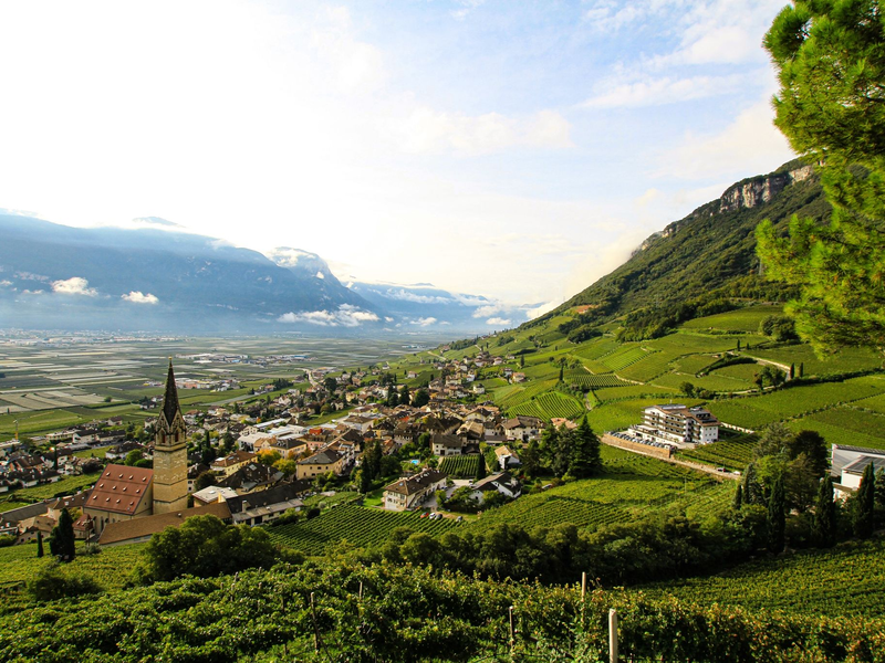Ein Weingut mit Blick ins Etschtal. Die autonome Provinz Südtirol, wo Deutsch neben Italienisch normale Amtssprache ist, wählt ein neues Parlament. - Foto: Bernhard Krieger/dpa-tmn/dpa
