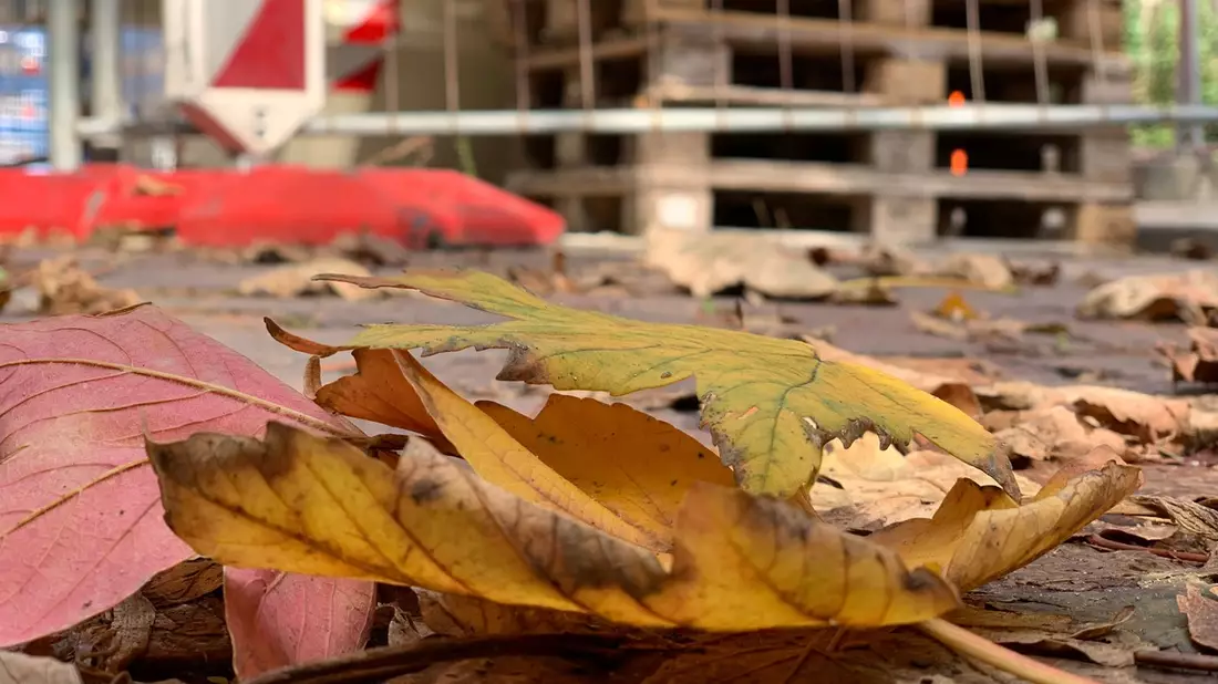 Herbstliche Witterung: Wie man auf Baustellen trittsicher bleibt - Bild: presseportal.de