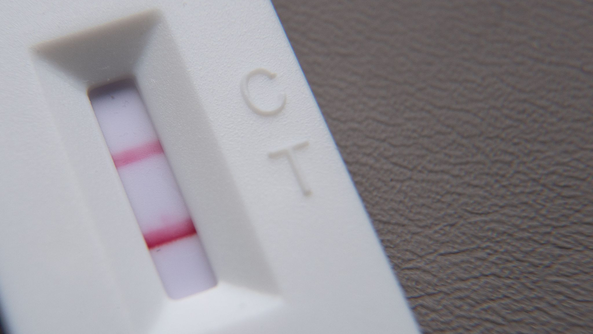 In Deutschland kursieren wie auch in anderen Ländern derzeit überwiegend Omikron-Sublinien wie EG.5 und XBB.1.16. - Foto: Sebastian Gollnow/dpa/Symbolbild