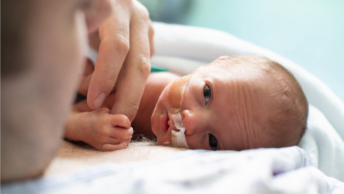 Kleiner Anfang, große Geschichte - Foto: presseportal.de