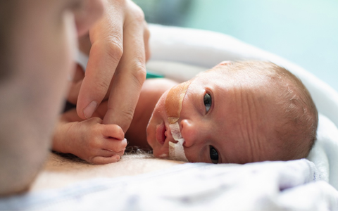 Kleiner Anfang, große Geschichte - Foto: presseportal.de