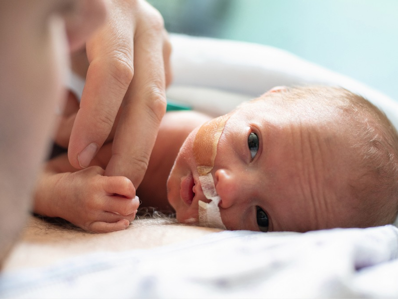 Kleiner Anfang, große Geschichte - Foto: presseportal.de