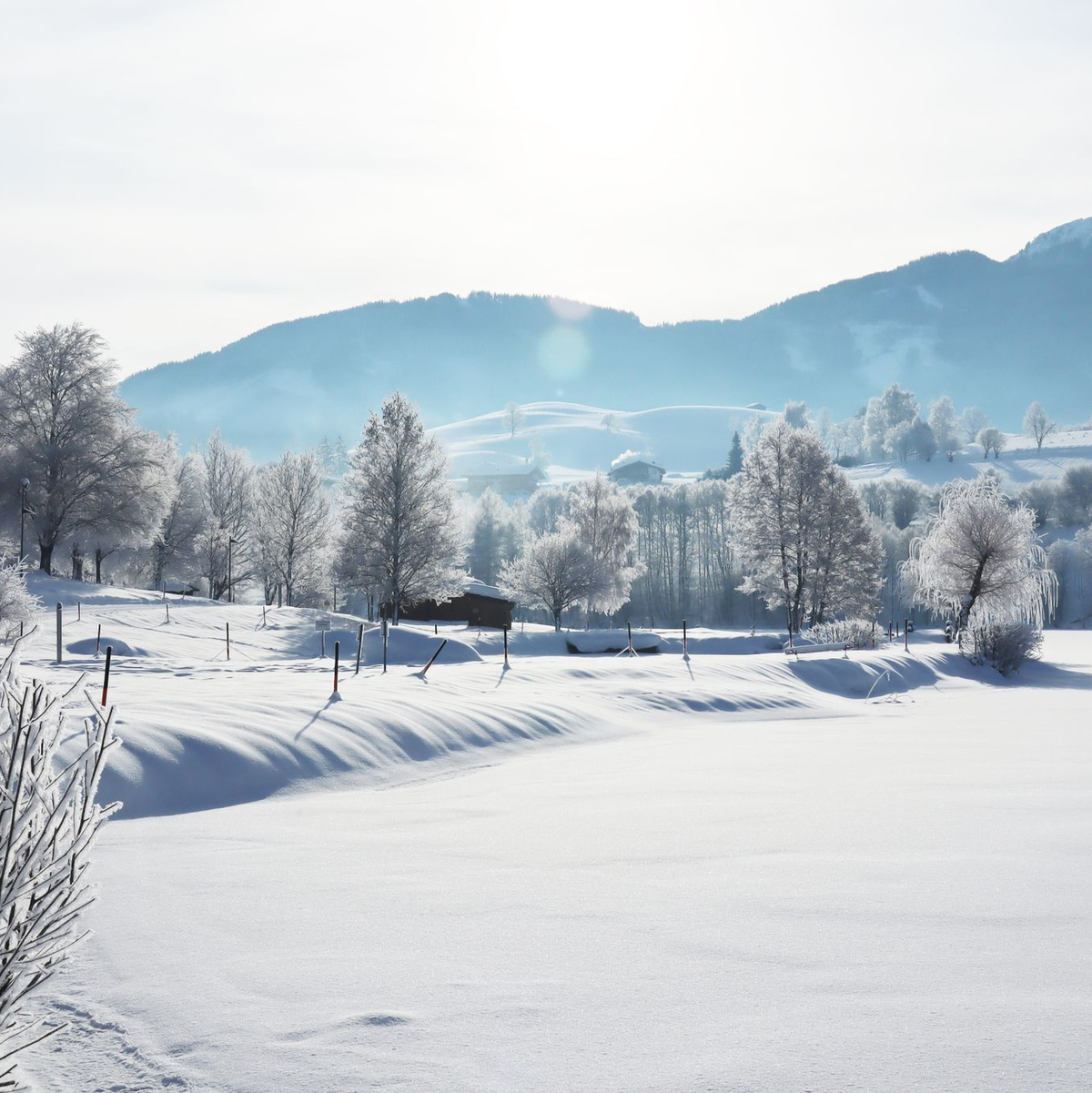 Blick über die idyllische Winterlandschaft rund um den Ritzensee im österreichischen Saalfelden. - Foto: Verena Wolff/dpa-tmn
