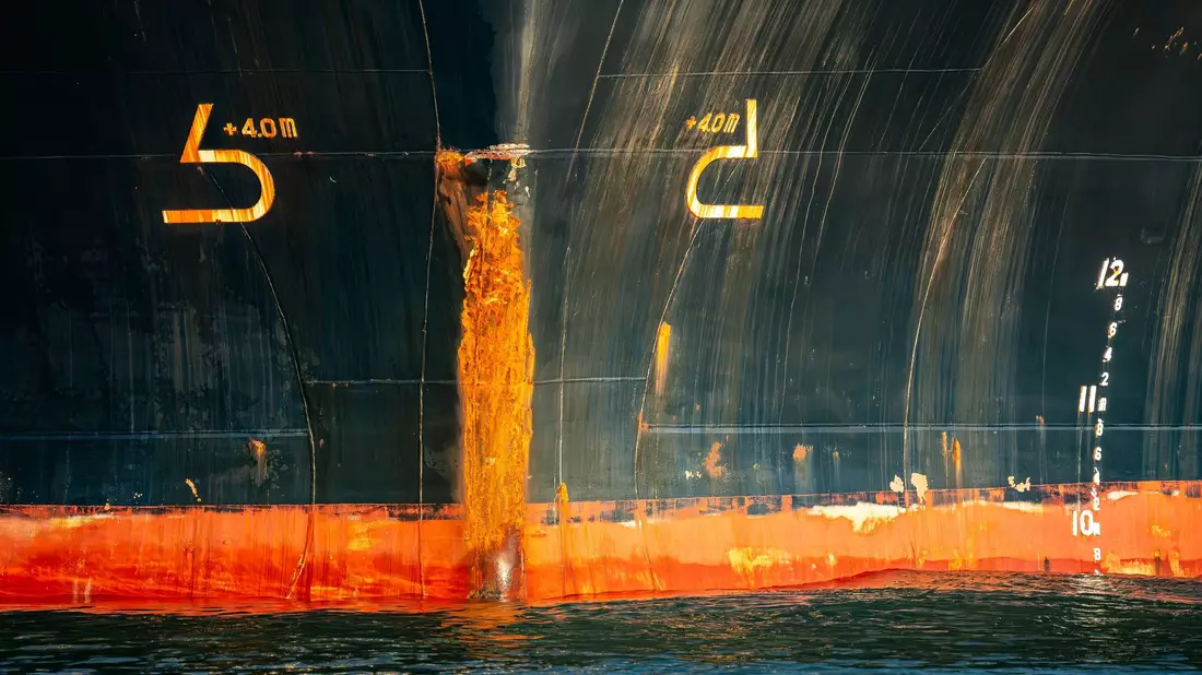 Das Frachtschiff «Polesie» in Cuxhaven. - Bild: Sina Schuldt/dpa