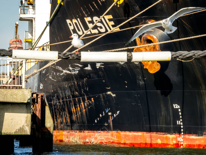 Infolge des Zusammenstoßes mit der „Polesie“ ist der Frachter «Verity“ in der in der Nordsee gesunken. - Foto: Sina Schuldt/dpa