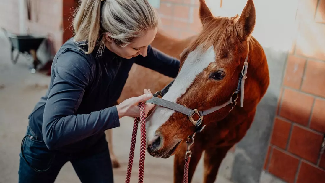 Julia Greb: Pferd fit für den Winter machen - Bild: presseportal.de
