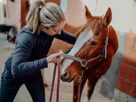 Julia Greb: Pferd fit für den Winter machen - Foto: presseportal.de