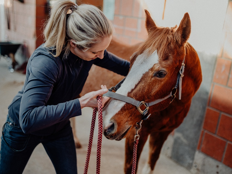 Julia Greb: Pferd fit für den Winter machen - Foto: presseportal.de
