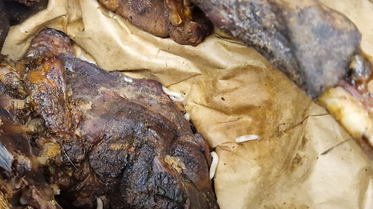 HZA-H: Starke Nerven gefragt - Zoll macht Ekelfund am Flughafen Hannover - Foto: presseportal.de