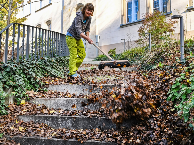 Herbst: Wer muss Bürgersteig vom Laub freihalten? - Foto: presseportal.de