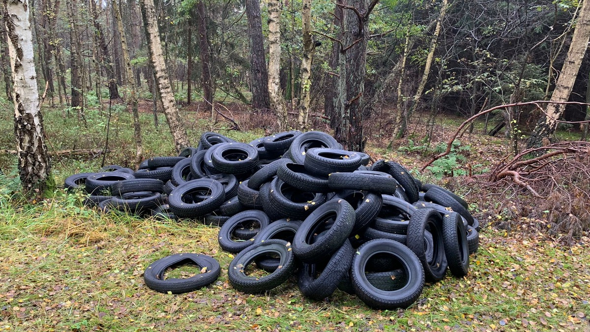 POL-ROW: ++ Altreifen im Wald entsorgt - Polizei bittet um Hinweise ++ - Foto: presseportal.de