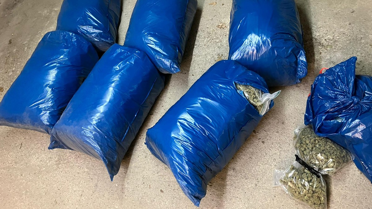ZOLL-E: Staatsanwaltschaft Wuppertal - Zollfahndung Essen heben große Cannabisplantage in Velbert aus - 52 kg Marihuana - 2 Festnahmen - Foto: presseportal.de