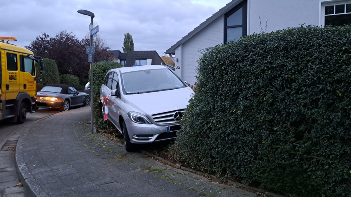 POL-NI: Rückwärts in die Hecke gefahren - Gas und Bremse verwechselt - Foto: presseportal.de