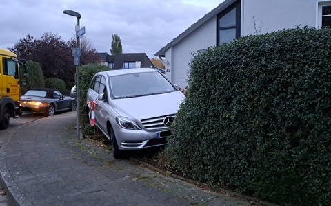 POL-NI: Rückwärts in die Hecke gefahren - Gas und Bremse verwechselt - Foto: presseportal.de