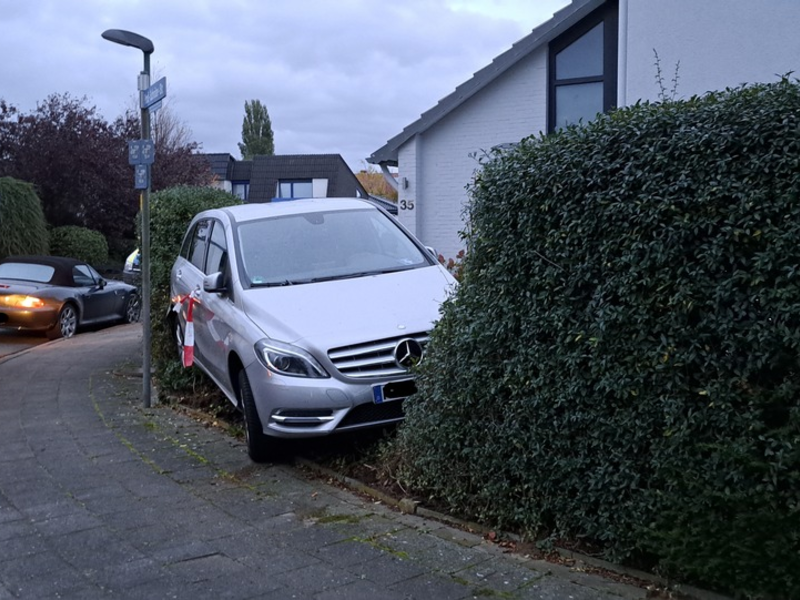 POL-NI: Rückwärts in die Hecke gefahren - Gas und Bremse verwechselt - Foto: presseportal.de