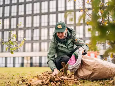 HARIBO und die SDW starten Kampagne zur Kastanienrettung - Foto: presseportal.de