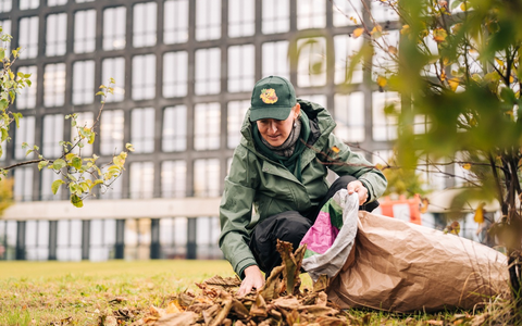 HARIBO und die SDW starten Kampagne zur Kastanienrettung - Foto: presseportal.de