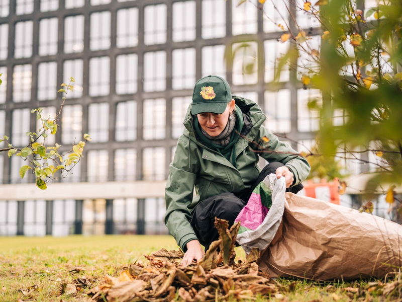 HARIBO und die SDW starten Kampagne zur Kastanienrettung - Foto: presseportal.de