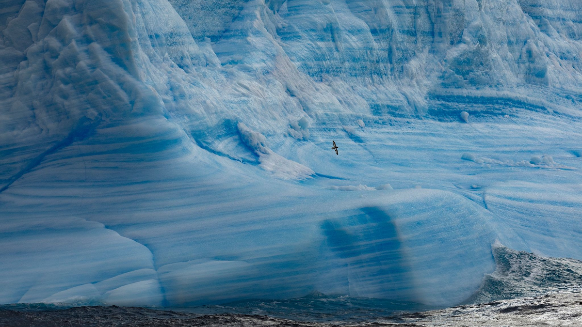 Ein Gletscher im Weddellmeer: Nachdem der aktuelle Vogelgrippe-Ausbruch die Antarktis erreicht hat, befürchten Umweltexperten ein Massensterben von Seevögeln. - Foto: John Weller/dpa