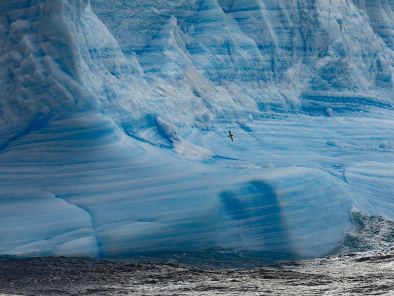 Ein Gletscher im Weddellmeer: Nachdem der aktuelle Vogelgrippe-Ausbruch die Antarktis erreicht hat, befürchten Umweltexperten ein Massensterben von Seevögeln. - Foto: John Weller/dpa