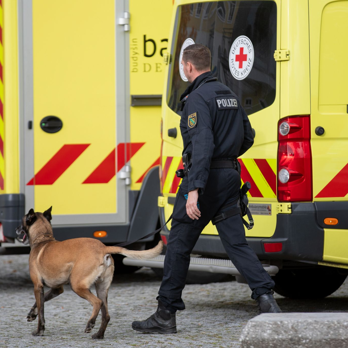 Ein Polizist läuft nach einer eingegangen Drohung mit einem Hund vor einer Grund- und Oberschule im ostsächsischen Pulsnitz: Ähnliche Einsätze gibt es heute in Thüringen und Baden-Württemberg. - Foto: Rocci Klein