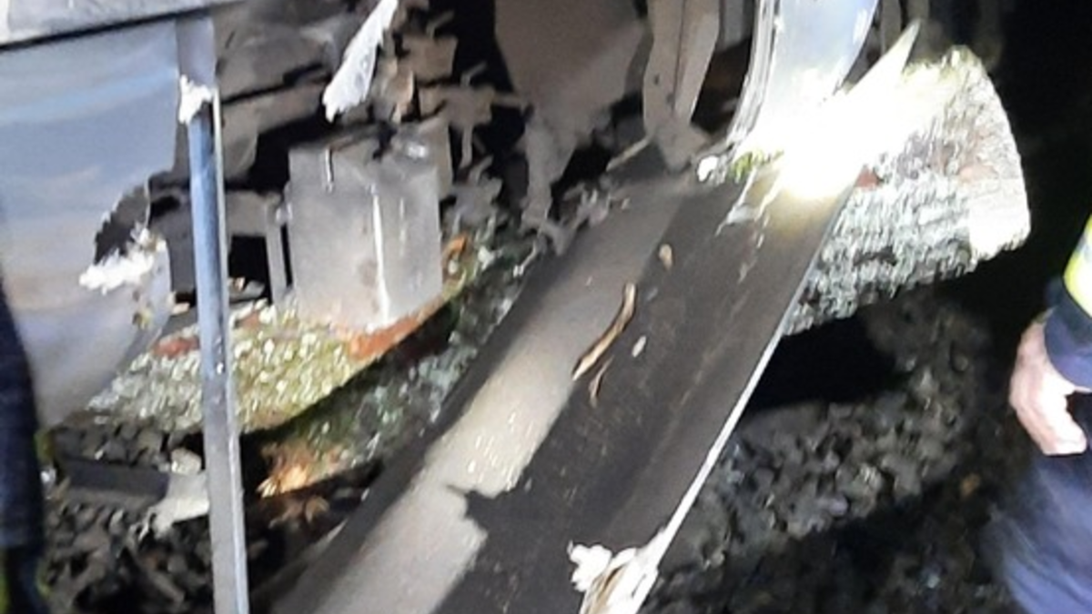 BPOL-KL: Zug kollidiert mit Baum - Foto: presseportal.de