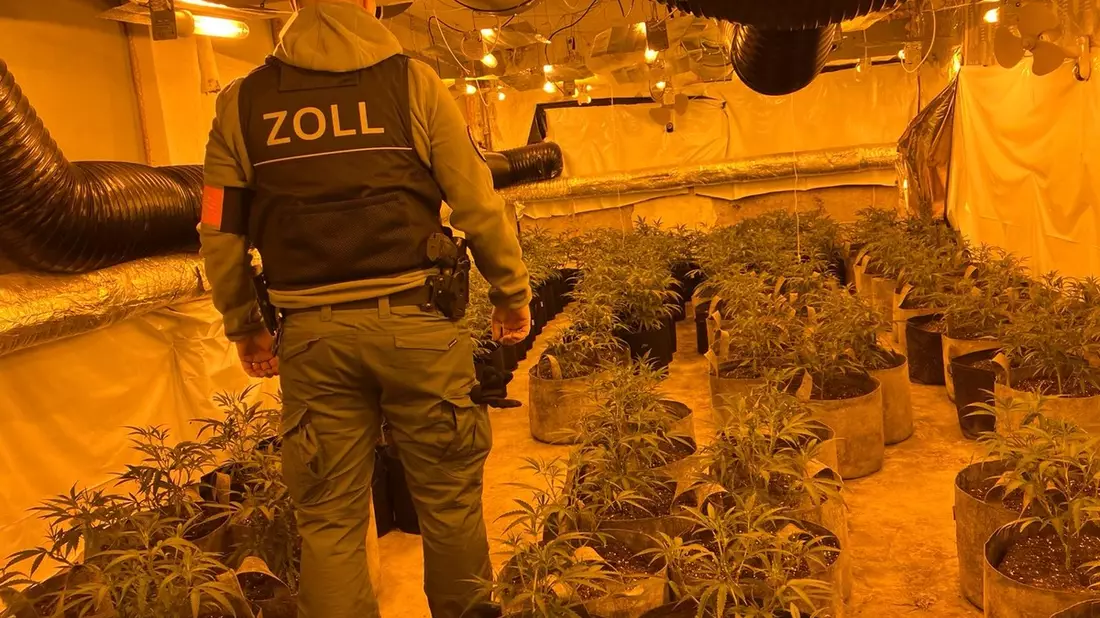 POL-ME: Staatsanwaltschaft Wuppertal und Zollfahndung Essen heben große Cannabisplantage in Velbert aus - 52 kg Marihuana - 2 Festnahmen - Velbert - 2310101 - Bild: presseportal.de