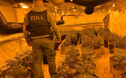 POL-ME: Staatsanwaltschaft Wuppertal und Zollfahndung Essen heben große Cannabisplantage in Velbert aus - 52 kg Marihuana - 2 Festnahmen - Velbert - 2310101 - Foto: presseportal.de