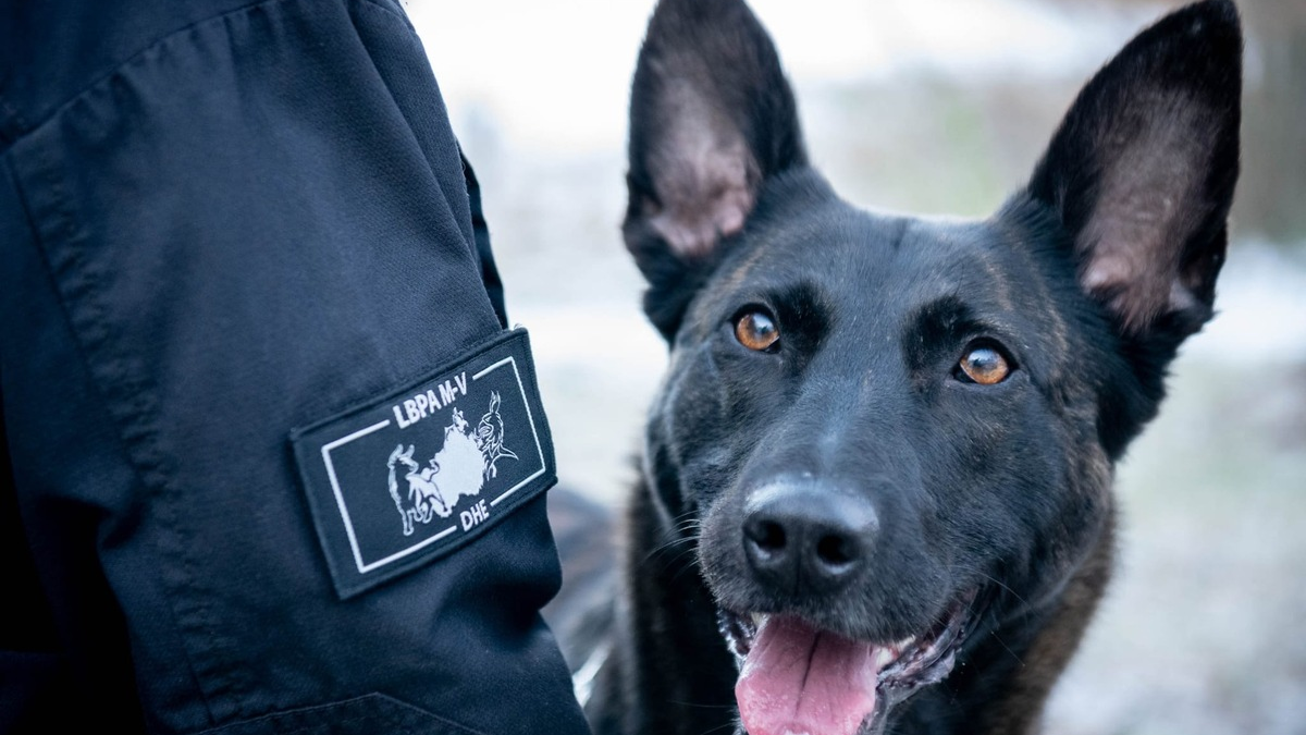 POL-NB: Das Kokain fand 