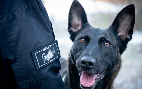 POL-NB: Das Kokain fand Cora - Foto: presseportal.de