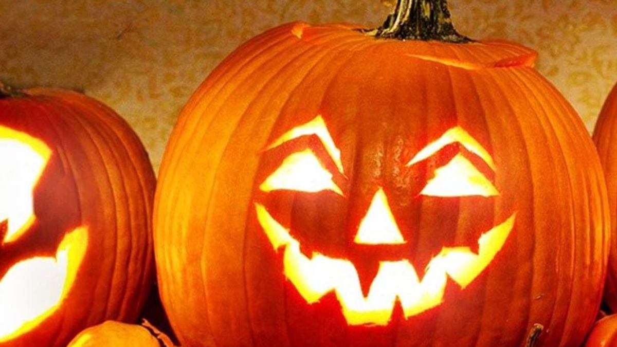 POL-H: Halloween: Wo hört der Spaß auf? - Foto: presseportal.de