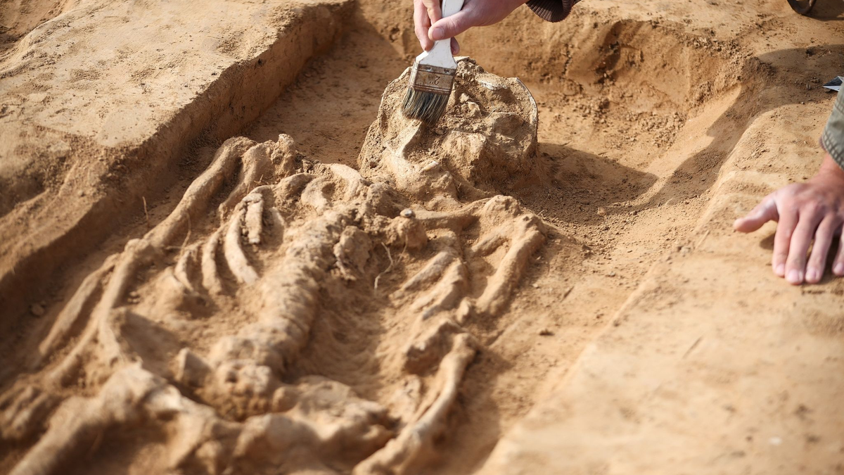 Bei Grabungen auf dem Gelände der Königspfalz Helfta wurden auch zwei Gräber aus dem 9. Jahrhundert freigelegt. - Foto: Jan Woitas/dpa