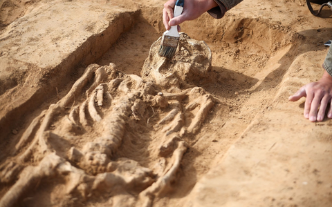 Bei Grabungen auf dem Gelände der Königspfalz Helfta wurden auch zwei Gräber aus dem 9. Jahrhundert freigelegt. - Foto: Jan Woitas/dpa