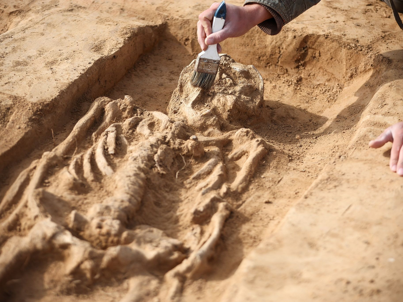 Bei Grabungen auf dem Gelände der Königspfalz Helfta wurden auch zwei Gräber aus dem 9. Jahrhundert freigelegt. - Foto: Jan Woitas/dpa