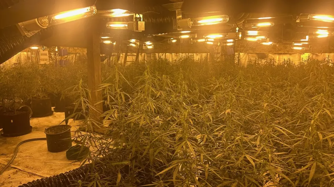 POL-OF: Telefonbetrüger trieben ihr Unwesen; Verkehrskontrollen mit Schwerpunkt Beleuchtung; Cannabis-Plantage in Scheune ausgehoben und mehr - Bild: presseportal.de