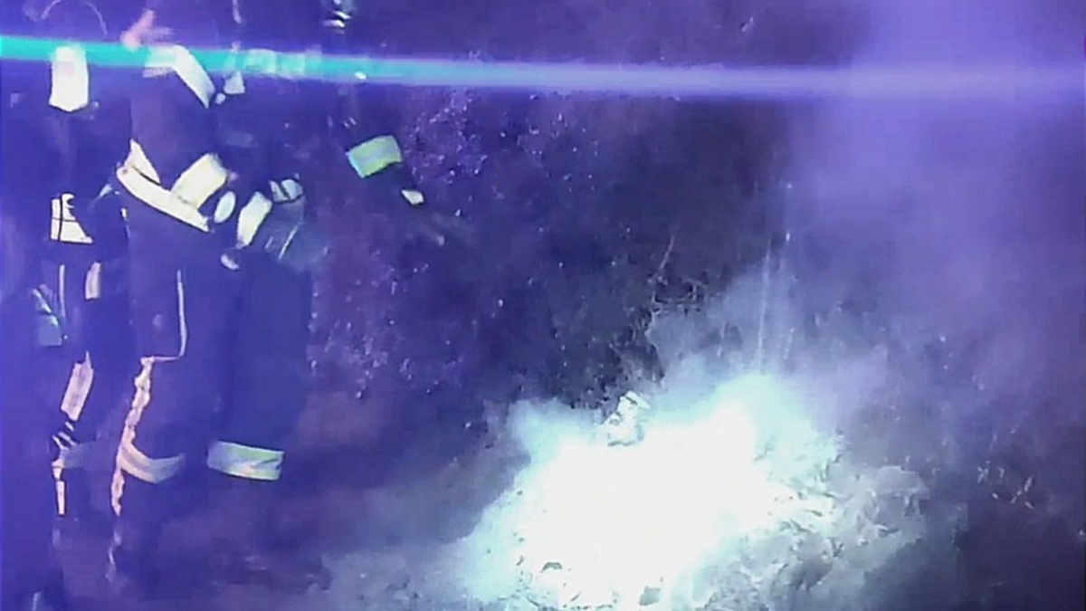 FW Celle: Mülltonne brennt neben PKW - Foto: presseportal.de