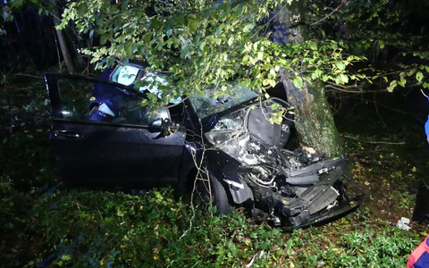 POL-GM: Am Baum gelandet - Zwei Schwerverletzte - Foto: presseportal.de