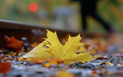 Dem EU-Klimawandeldienst zufolge reagiert das Klima auf die Konzentration von Treibhausgasen in der Atmosphäre. - Foto: Matthias Bein/dpa