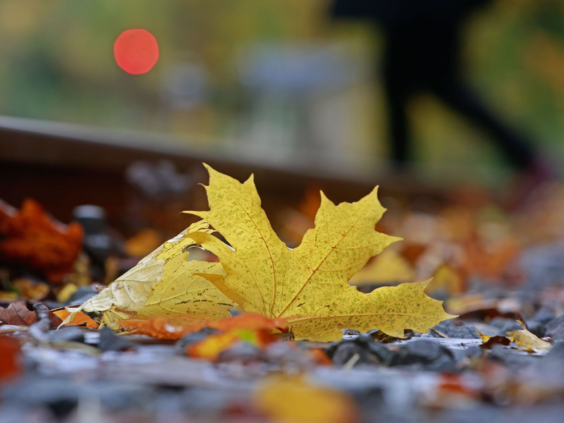 Dem EU-Klimawandeldienst zufolge reagiert das Klima auf die Konzentration von Treibhausgasen in der Atmosphäre. - Foto: Matthias Bein/dpa