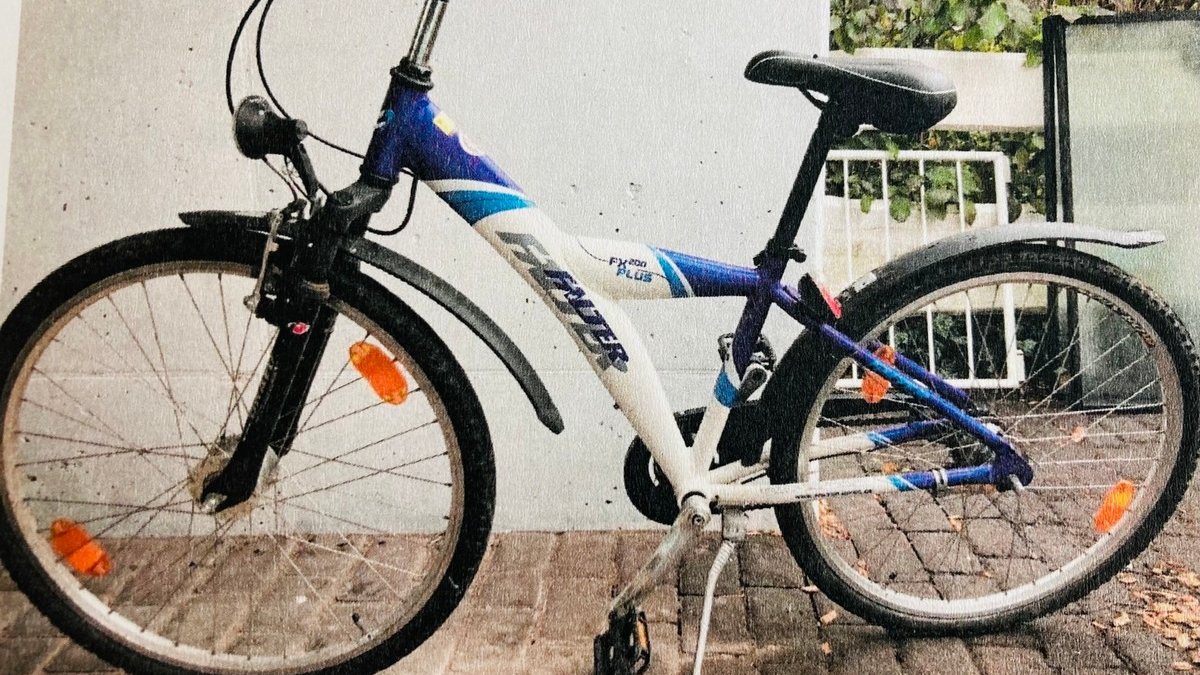 POL-LIP: Horn Bad-Meinberg. Fahrradeigentümer gesucht. - Foto: presseportal.de