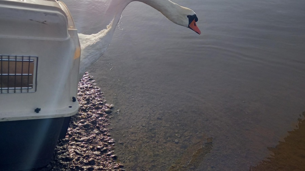 FW-EN: Feuerwehr am Montagmorgen im Dauereinsatz - Foto: presseportal.de