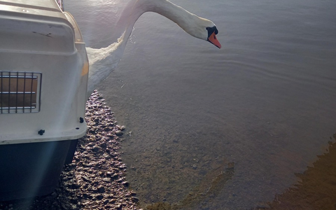 FW-EN: Feuerwehr am Montagmorgen im Dauereinsatz - Foto: presseportal.de