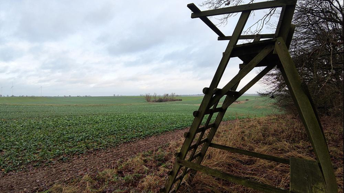 Jägersitz (Archiv) - Foto: über dts Nachrichtenagentur