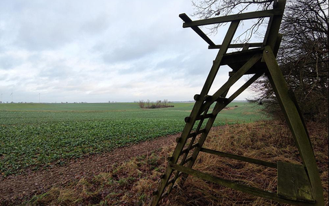 Jägersitz (Archiv) - Foto: über dts Nachrichtenagentur