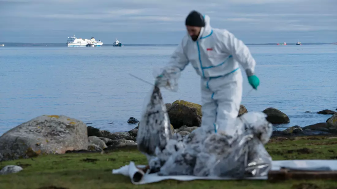 Ein Mann in Schutzkleidung arbeitet am Strand. Bei der vor der südschwedischen Küste feststeckenden Ostseefähre «Marco Polo» (hinten, l) ist erneut Öl ausgetreten. - Bild: Ola Torkelsson/TT News Agency/AP/dpa