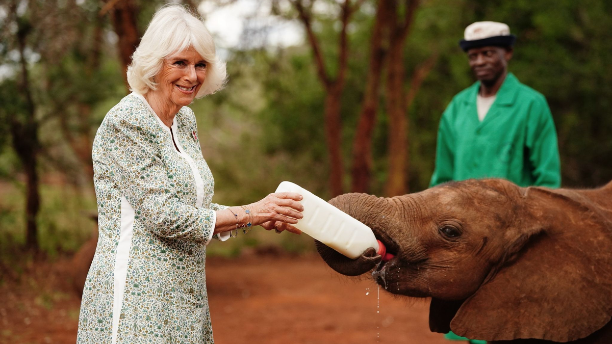 Königin Camilla (l) füttert ein Elefantenbaby beim Besuch im Nairobi-Nationalpark. - Foto: Victoria Jones/PA Wire/dpa